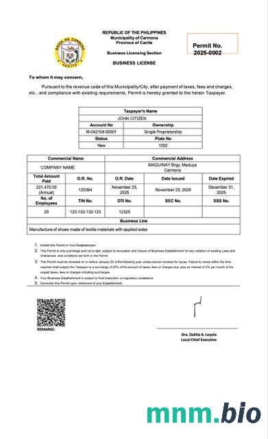 Filipiny Business license Word i szablon PDF